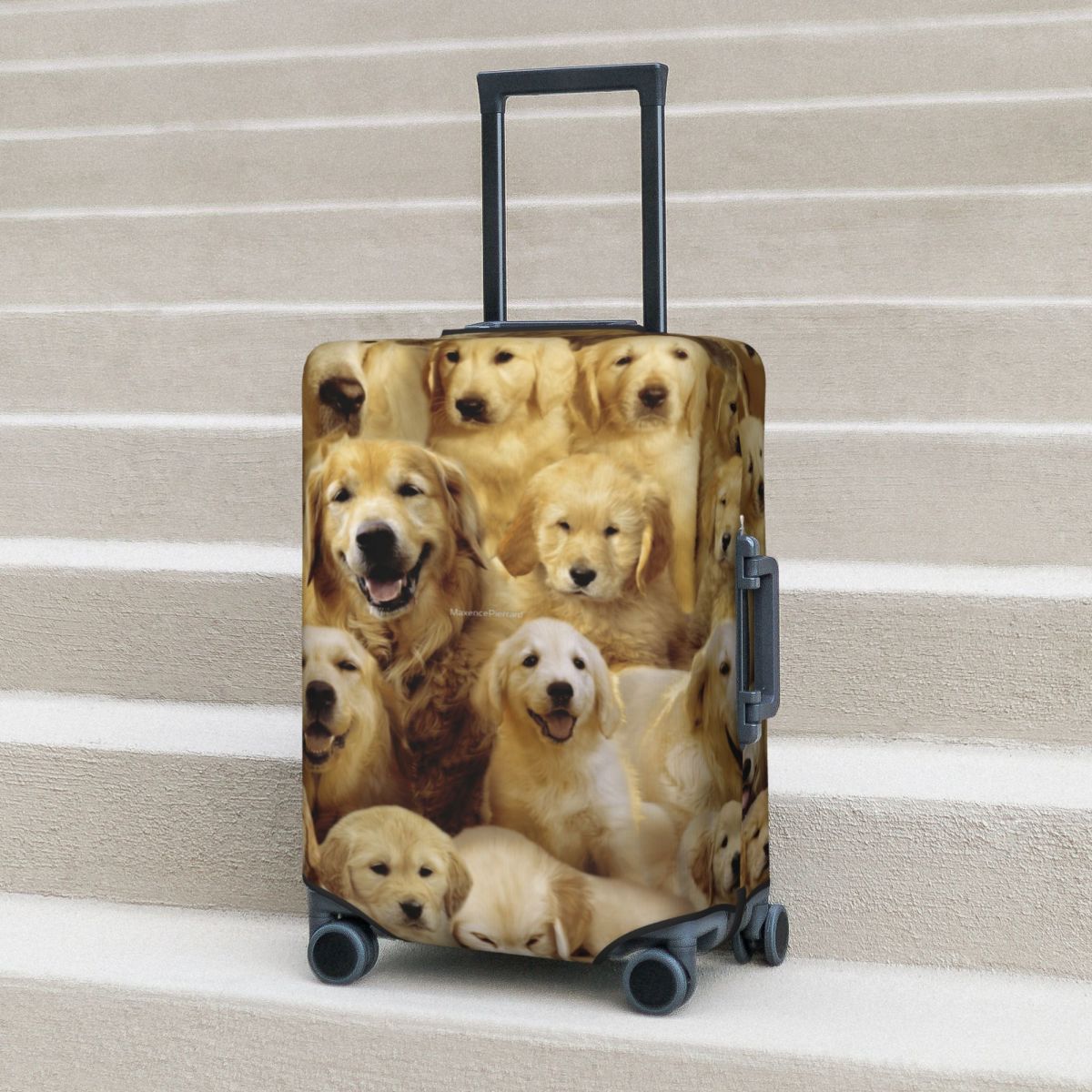 Travel Accessories To 3D Print - Copri valigia per cani dorati Animali
